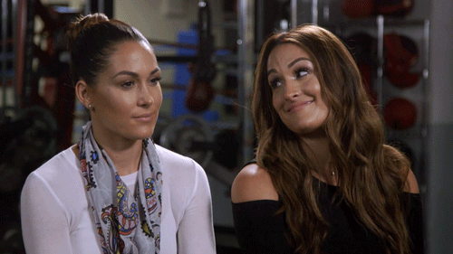 Картинки по запросу Brie Bella NIKKI
